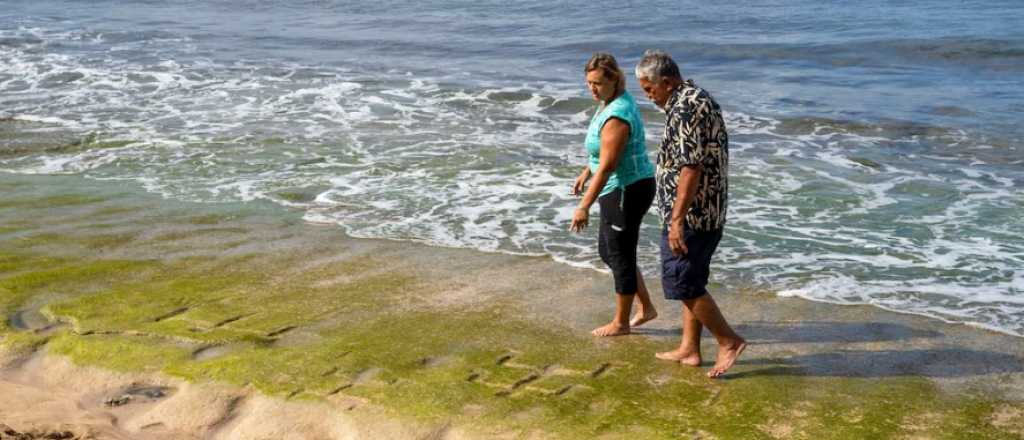 Reaparecieron petroglifos ancestrales y creen que alertaban el tsunami