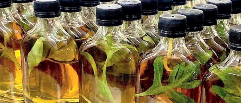 Por qué tomar caña con ruda se vuelve tradición el 1 de agosto