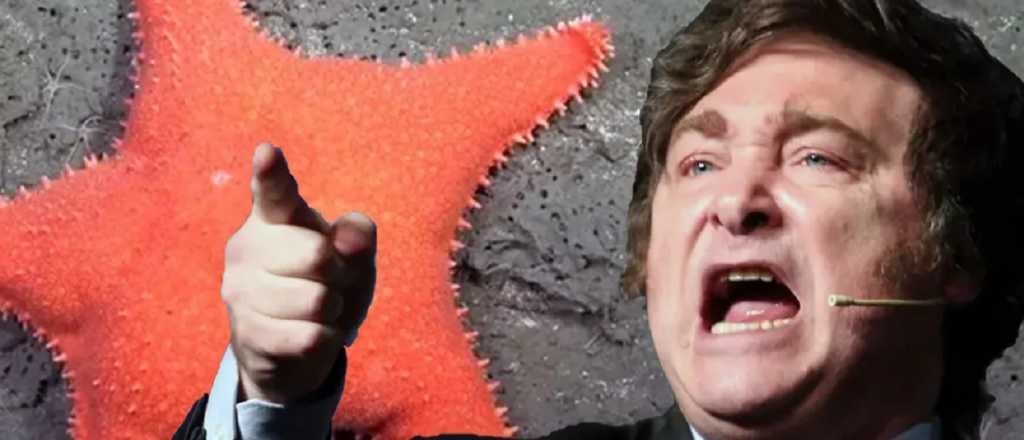 La noche en que la batatita argentina le gan&oacute; al Presidente