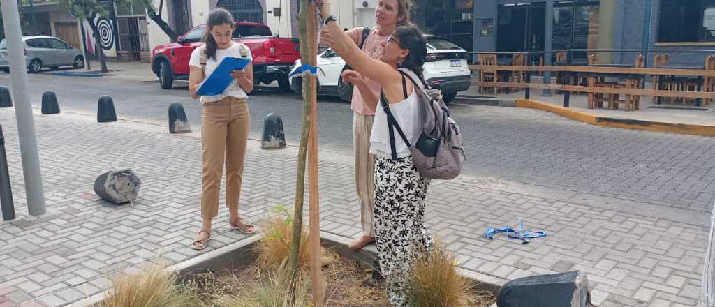 Fondo Verde: más de $3 millones para proyectos sostenibilidad ambiental