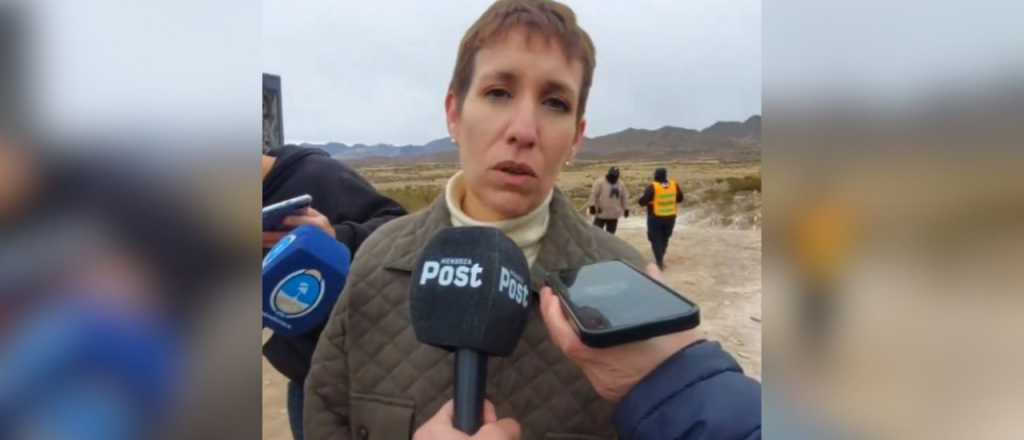 Latorre: "Nadie quiere minería sin condiciones"