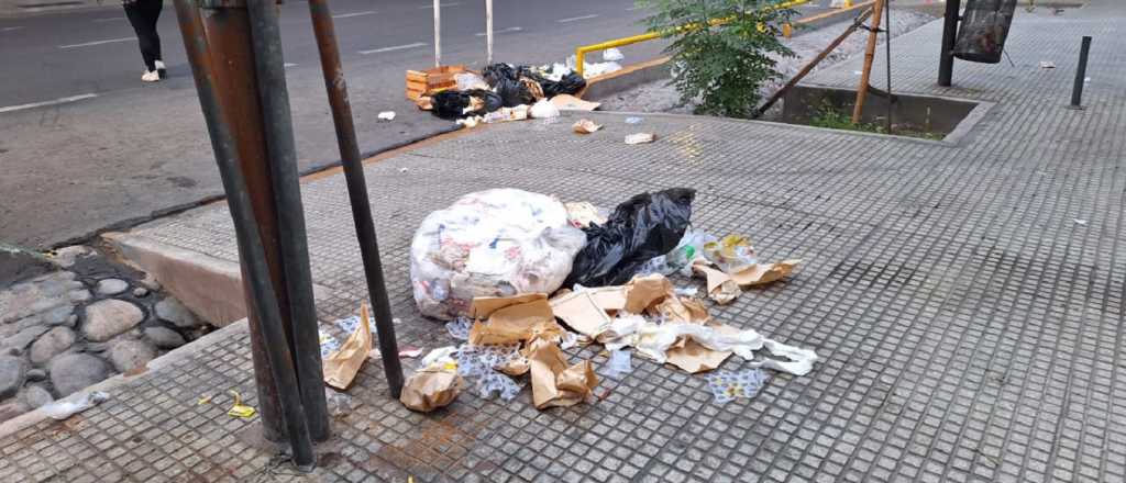 ¿Qué pasa en Mendoza con quienes revuelven la basura?