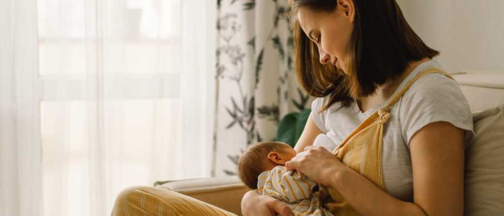 Taller gratuito por la Semana de la Lactancia Materna