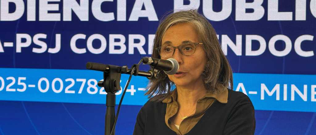 Queda un solo d&iacute;a de audiencia presencial por el cobre en Uspallata