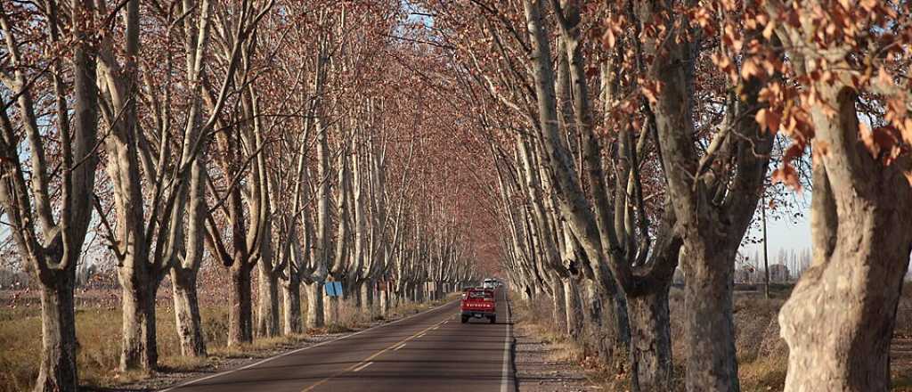 La primera ruta nacional que intervendrá la provincia está en el Sur