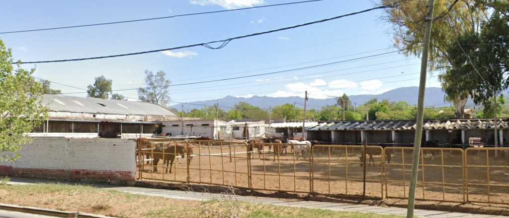Las cinco empresas que pujan por derrumbar la pared de la Policía Montada
