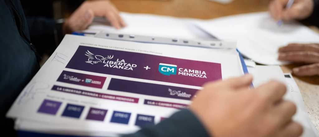 El frente LLA+CM le ganó a Mansur en las elecciones de Rivadavia