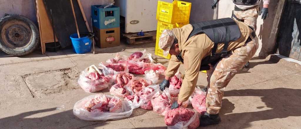 Decomisaron 420 kilos de carne en mal estado en Las Heras