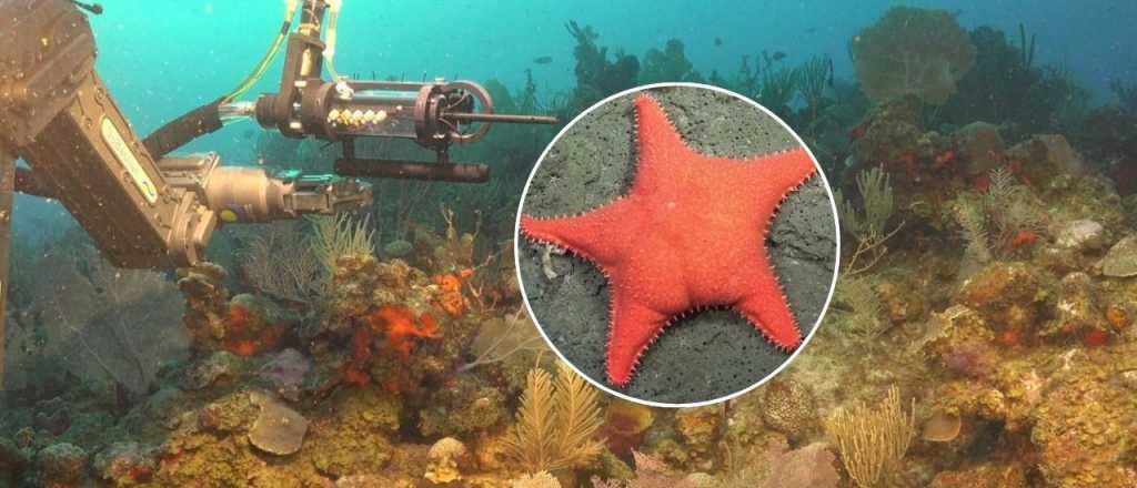 Video: la expedición del Conicet llegó a su fin con un emotivo mensaje