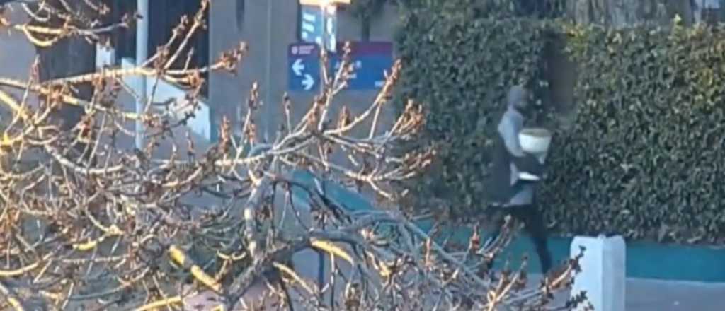 Video: detuvieron a un hombre que robó en una casa de Godoy Cruz