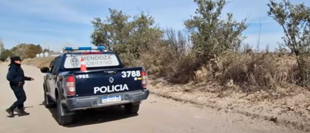 Faenaron a una yegua de competencia en San Martín