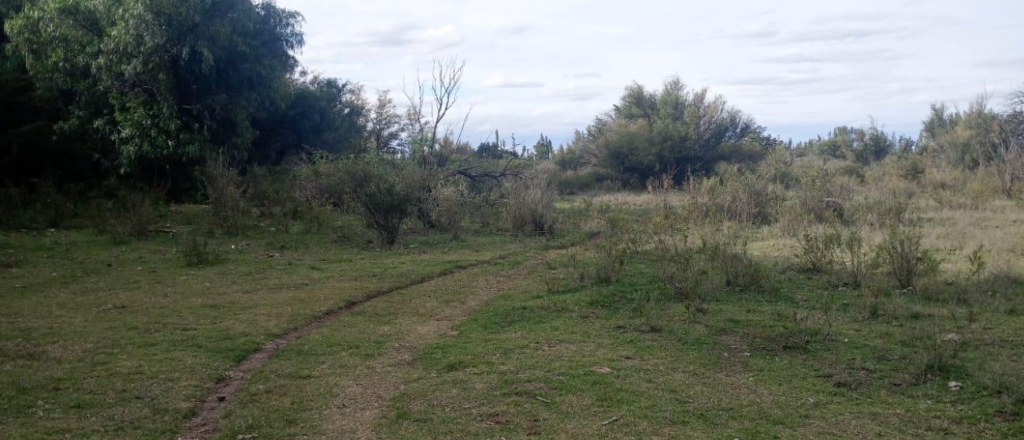 Rematan un terreno de 34 hectáreas donado por Irrigación