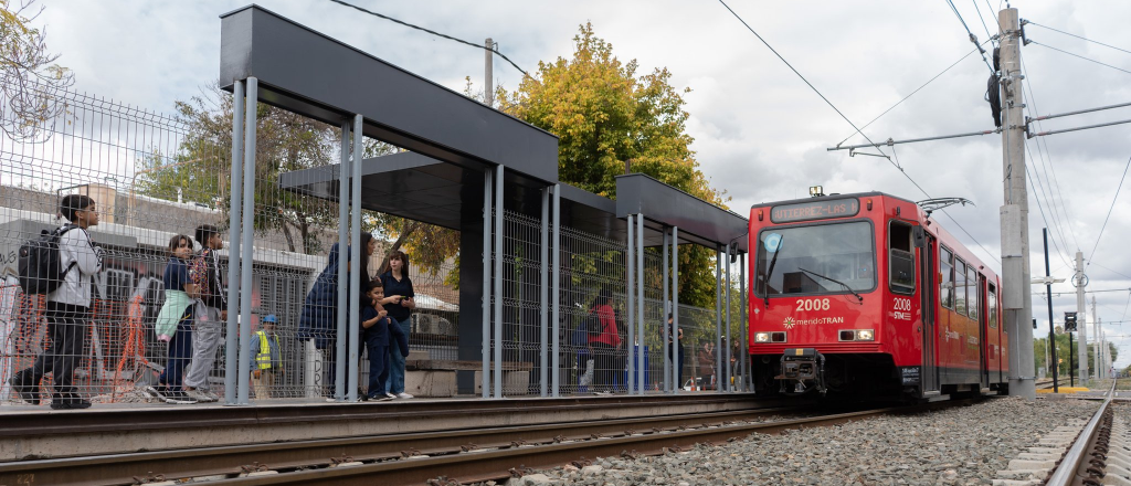 Suspendieron la circulación del metrotranvía por un árbol caído