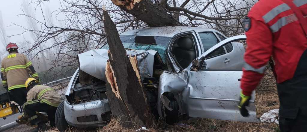 Perdió el control de su auto y chocó de lleno contra un árbol en San Rafael