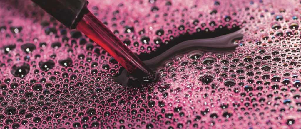 Antes de "descender", el INV aprobó dos prácticas enológicas