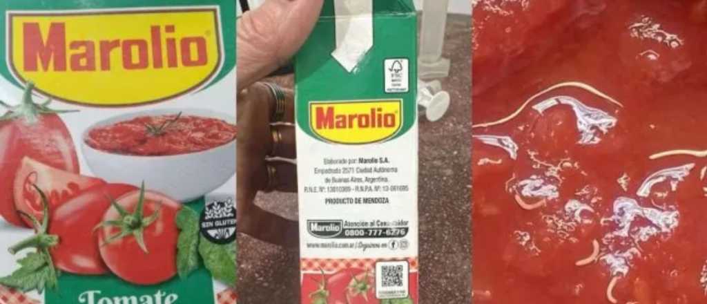 Un lote de puré de tomate Marolio hecho en Mendoza en el centro de la escena