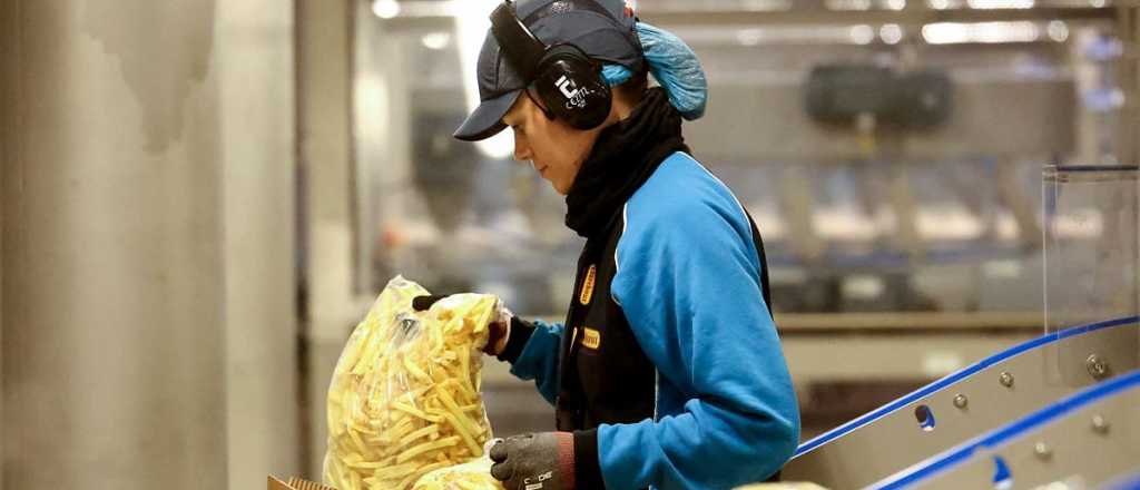 El "milagro" de las papas prefritas de Mendoza: se exportan más que el mosto