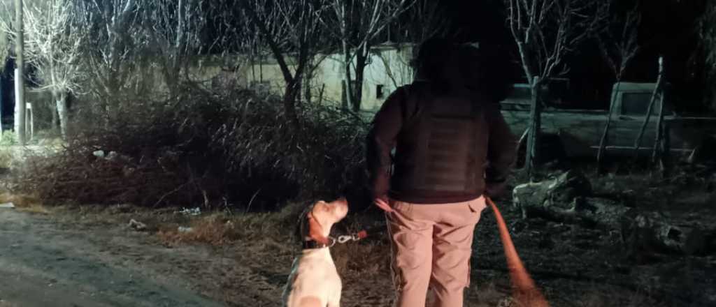 Dos detenidos por faenar caballos en San Martín