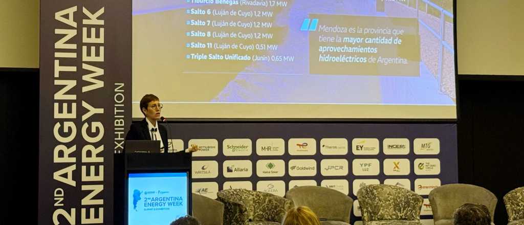 Latorre anunció una cumbre financiera que se realizará en Mendoza