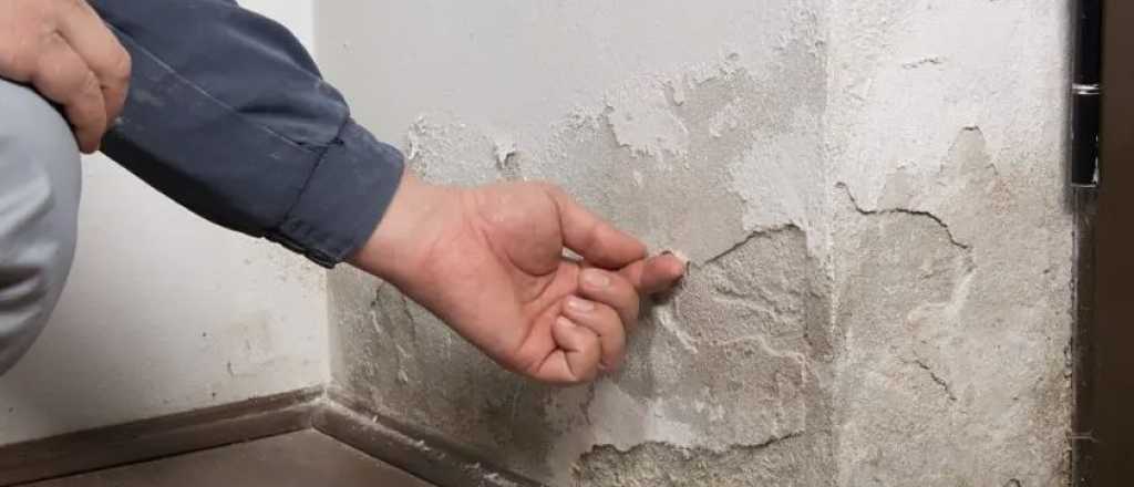 Adi&oacute;s a la humedad en las paredes con un truco casero muy simple