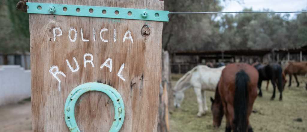 Decomisaron m&aacute;s de 25 kilos de carne en mal estado en San Rafael