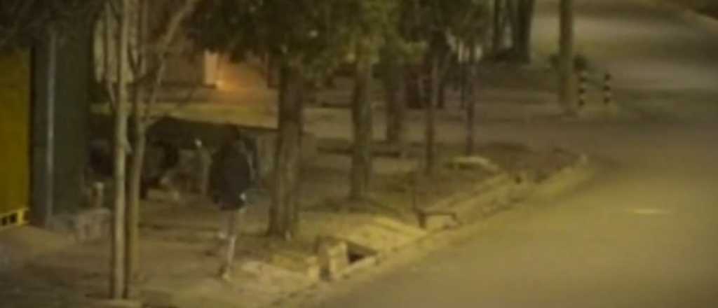 Detienen a dos hombres robando un televisor en Guaymallén