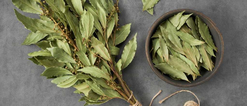 Para qué sirve poner una hoja de laurel debajo de la almohada