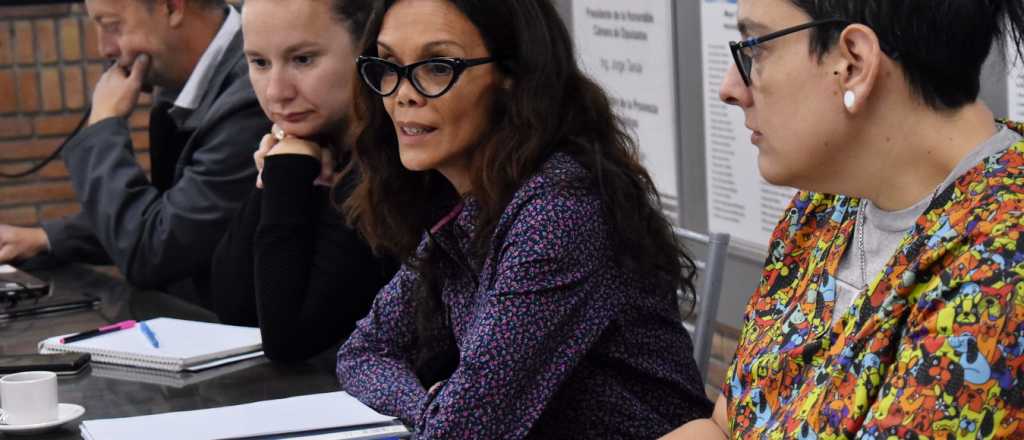 Críticas a la gestión en Discapacidad: "Se lucra de una manera terrible"