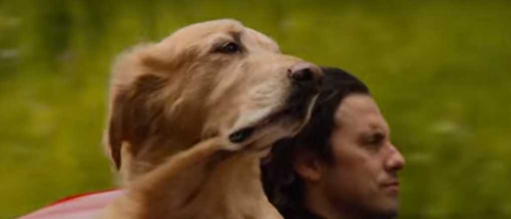 "Mi amigo Enzo", la película de Netflix que te hará llorar 