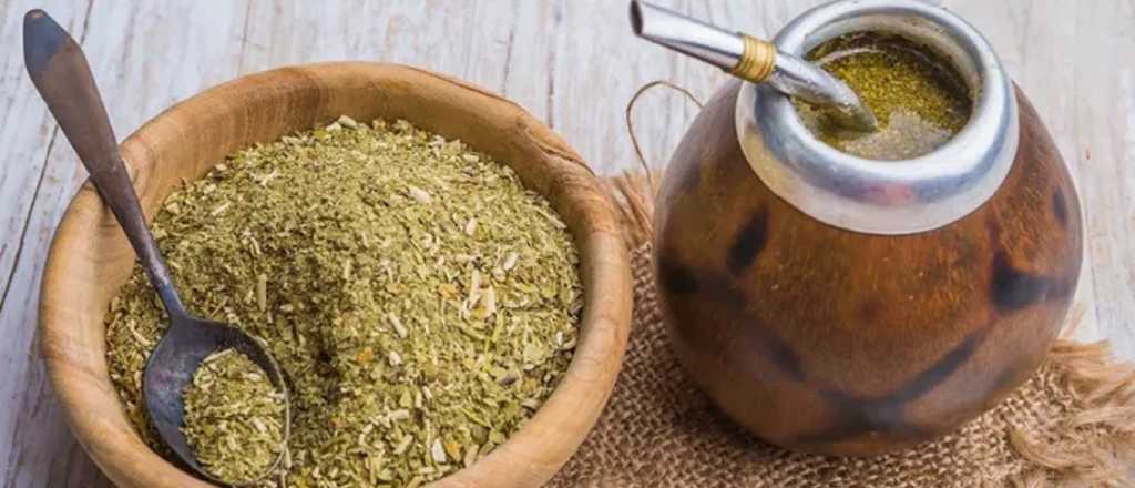 Aseguran que tomar mate mejora la salud &oacute;sea