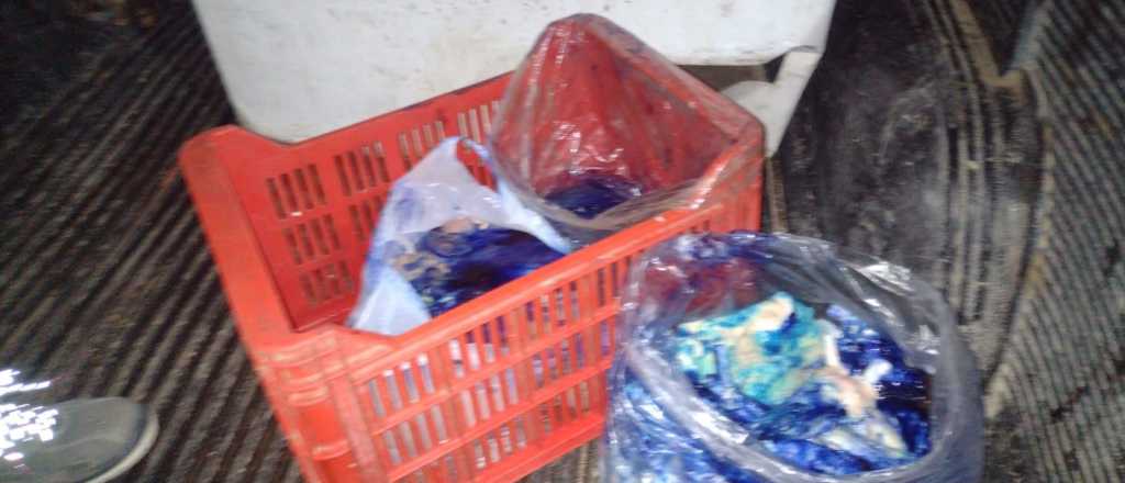 Secuestran carne en mal estado en Tupungato