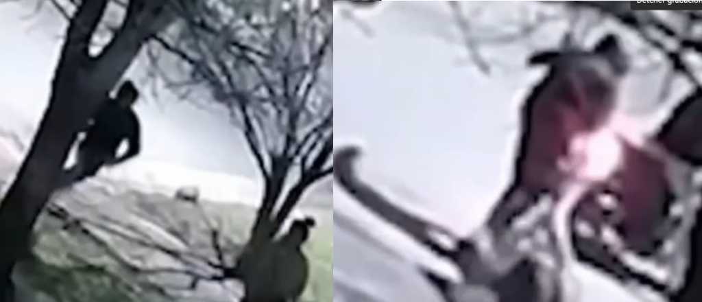 Video: una mujer fue golpeada y arrastrada por un motochorro