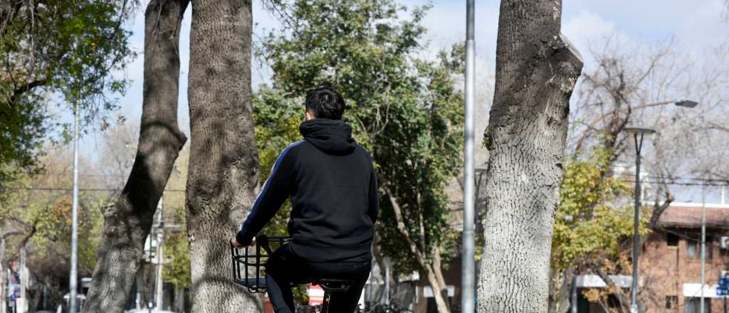 Bicitran será gratis por un día: cómo y cuándo se podrá usar