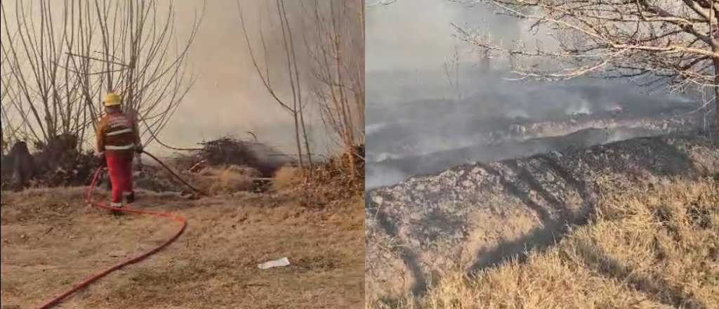 Bomberos combatieron un incendio en un campo inculto de Guaymallén