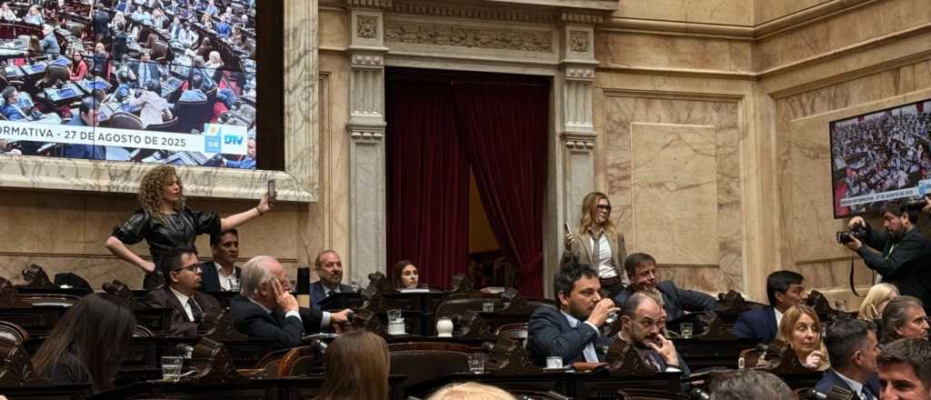 El show de Lourdes Arrieta en medio de la pelea en el Congreso
