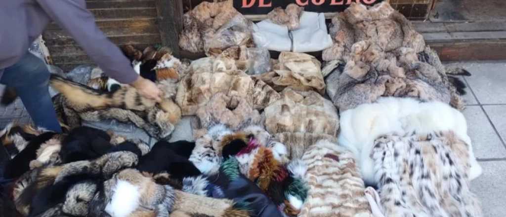 Incautaron prendas de animales en extinción en un local donde compraba CFK