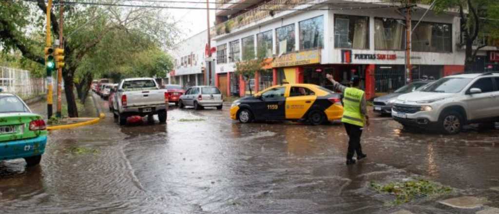 La Tormenta de Santa Rosa inundó casas y tiró árboles en Mendoza