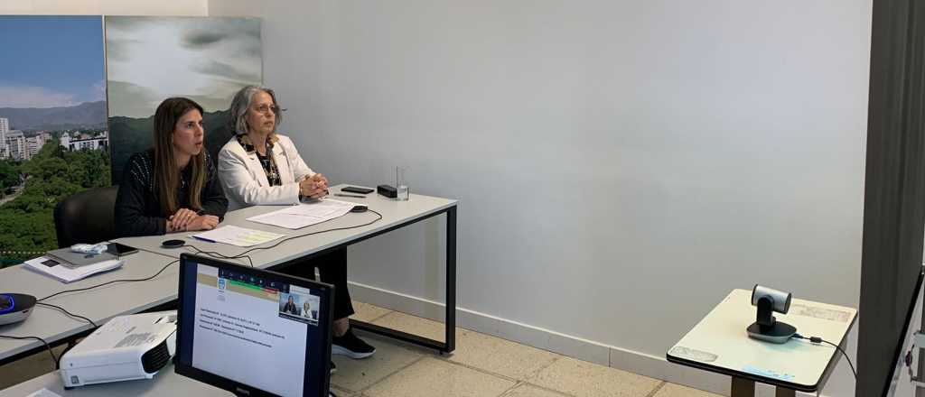 Se hizo la audiencia del proyecto "Master Plan Cañadones del Pedemonte"