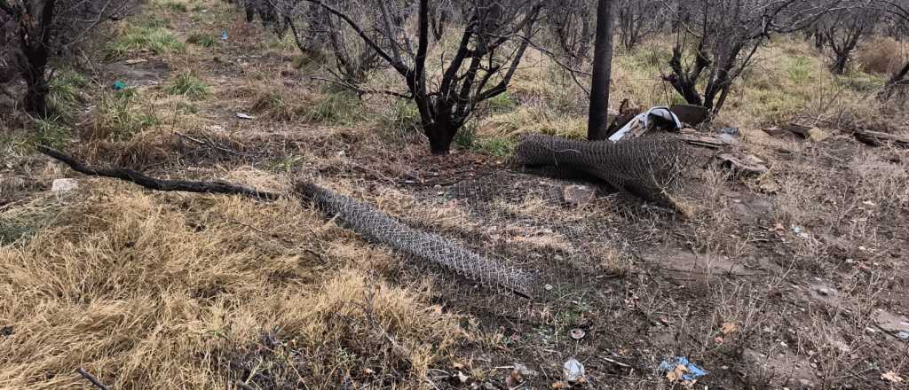 Dos detenidos por robar un rollo de tela metálica en Maipú