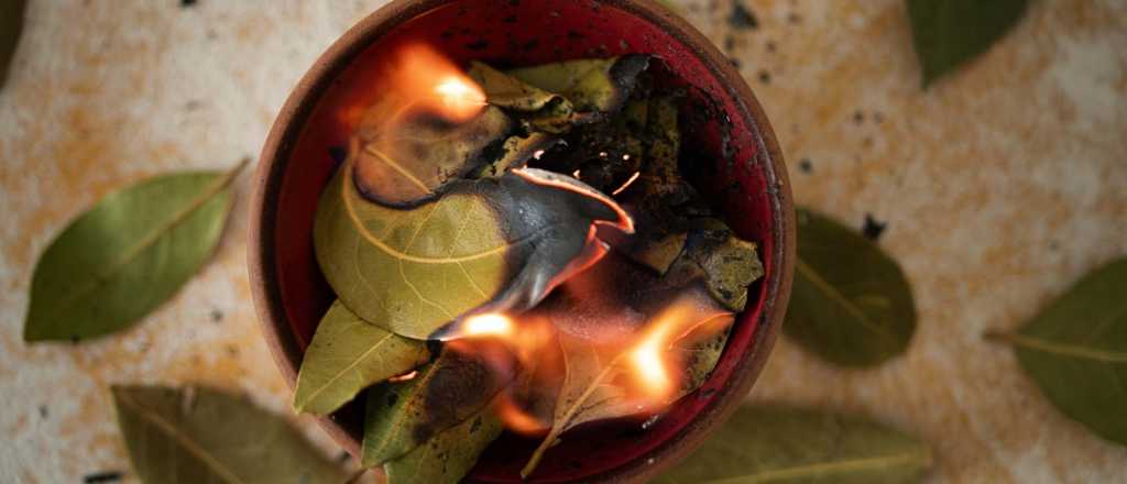 El ritual de las hojas de laurel que promete atraer abundancia en septiembre