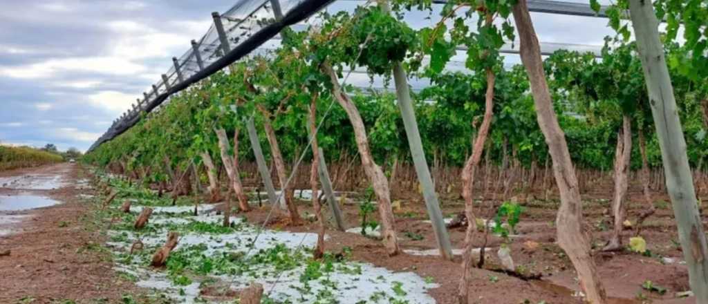 Últimos días para adherirse al Fondo Compensador Agrícola