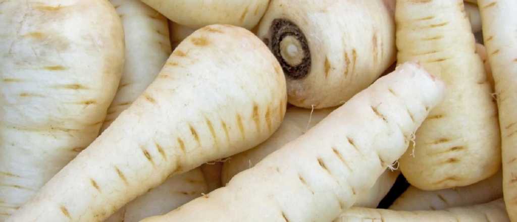 Cómo plantar Chirivía, la "zahanoria blanca" ideal para tus recetas 