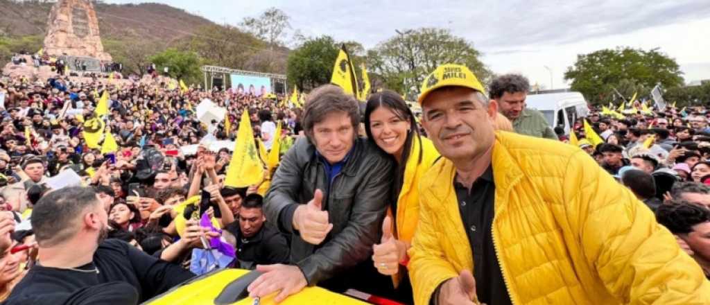 Denunciaron a  una diputada libertaria por pedir "retornos" del 10% en ANSES