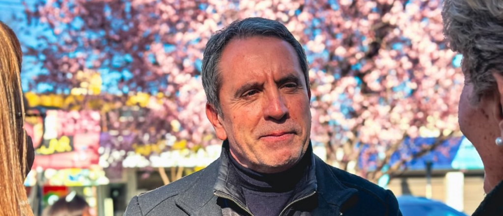 Difonso: "En Mendoza la opción no es Cristina o Milei"