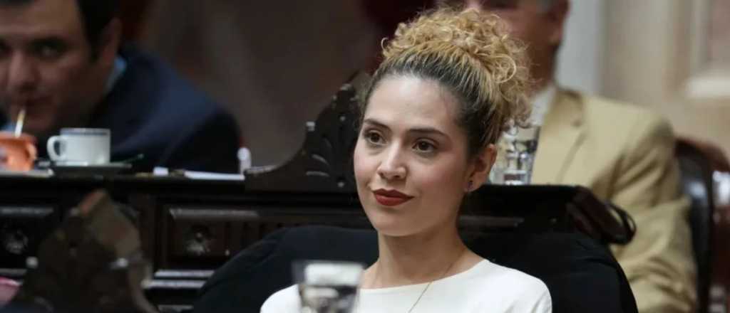 Un diputado de izquierda se fue a Gaza y Arrieta votó contra los vetos