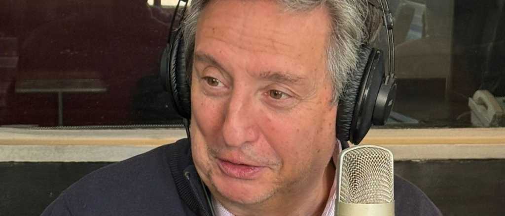 Emir F&eacute;lix: "Por aliarte con Milei no pod&eacute;s abandonar la lucha por Mendoza"