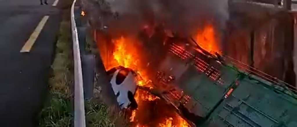 Un camión cayó de un puente y el chofer murió
