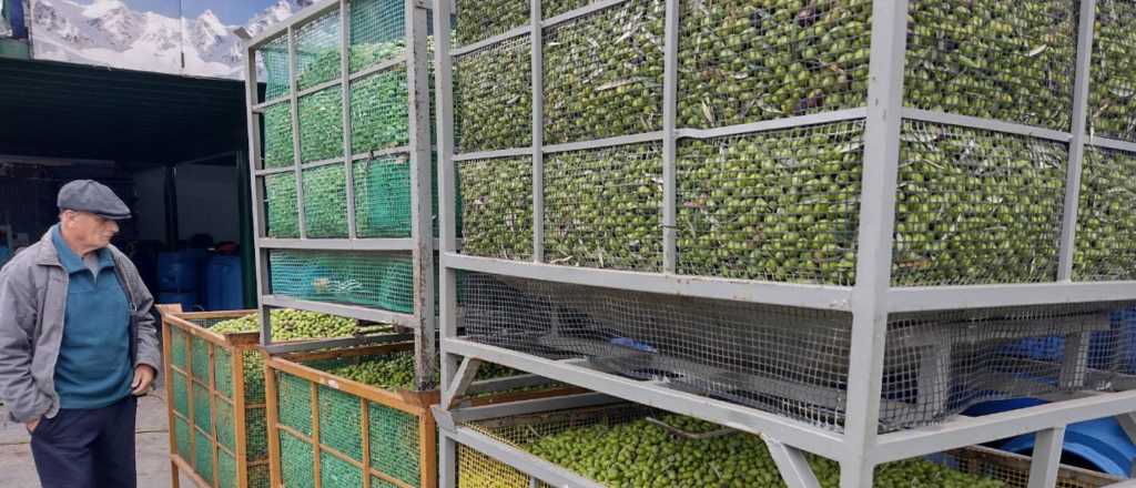 Maipú impulsa su programa de Turismo Social para adultos mayores