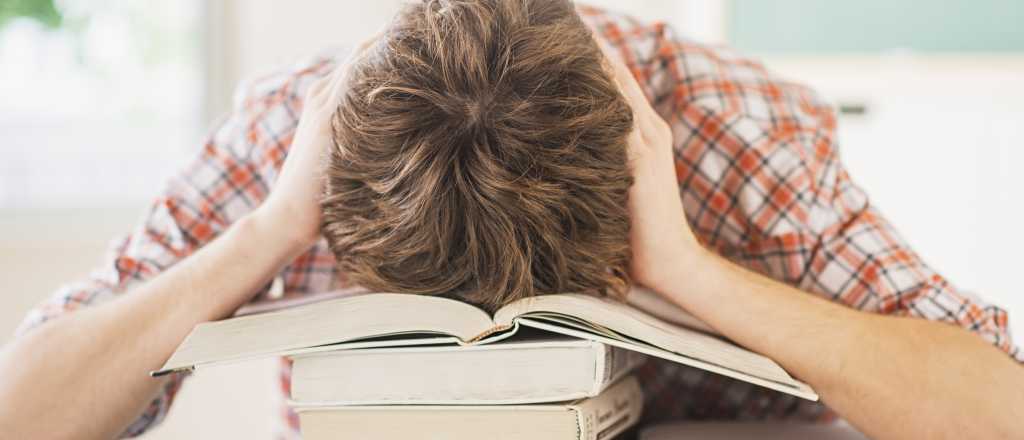 Papel&oacute;n del hermano de Ottavis en su tesis