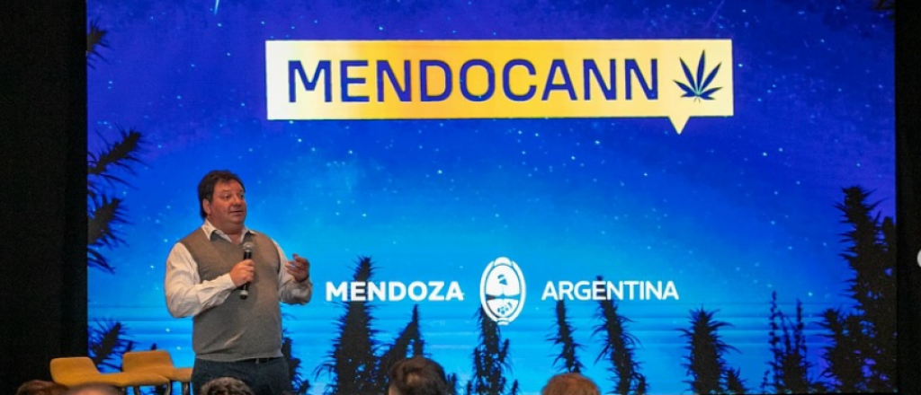 Mendoza reglamentó la ley de cannabis medicinal: qué significa y qué cambia